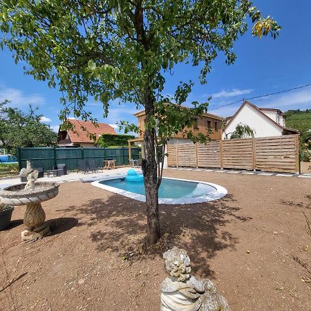 Au Coeur Des Vignes Apartment Bergheim Bagian luar foto