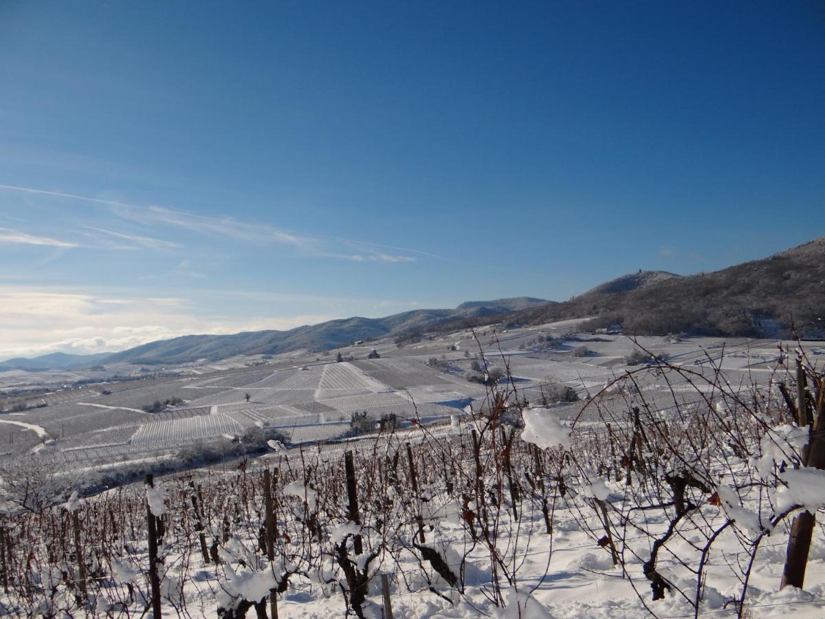 Au Coeur Des Vignes Apartment Bergheim Bagian luar foto