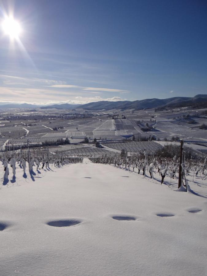 Au Coeur Des Vignes Apartment Bergheim Bagian luar foto