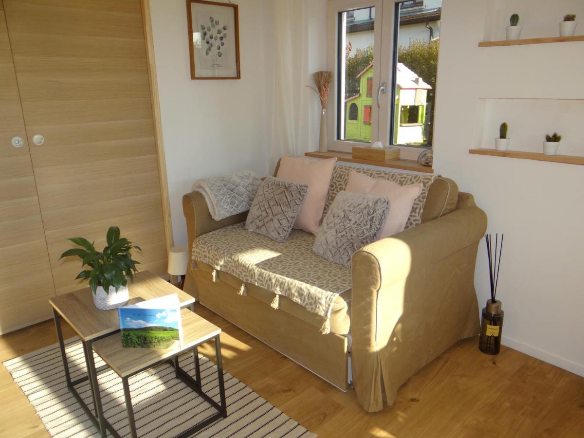 Au Coeur Des Vignes Apartment Bergheim Bagian luar foto
