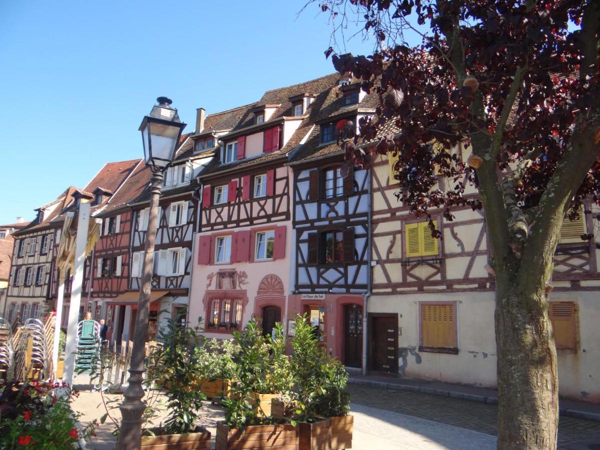 Au Coeur Des Vignes Apartment Bergheim Bagian luar foto
