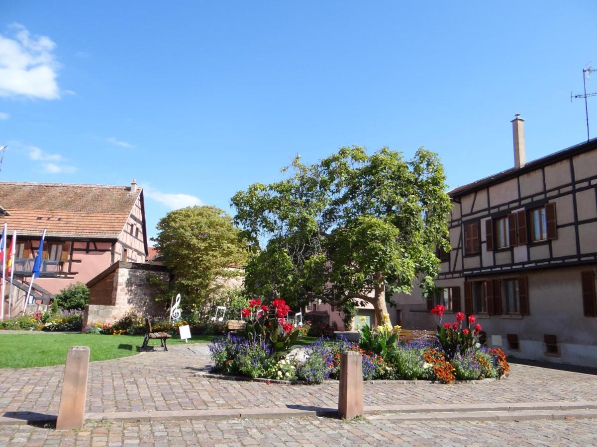 Au Coeur Des Vignes Apartment Bergheim Bagian luar foto