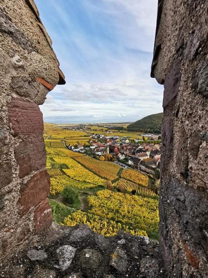 Au Coeur Des Vignes Apartment Bergheim Bagian luar foto