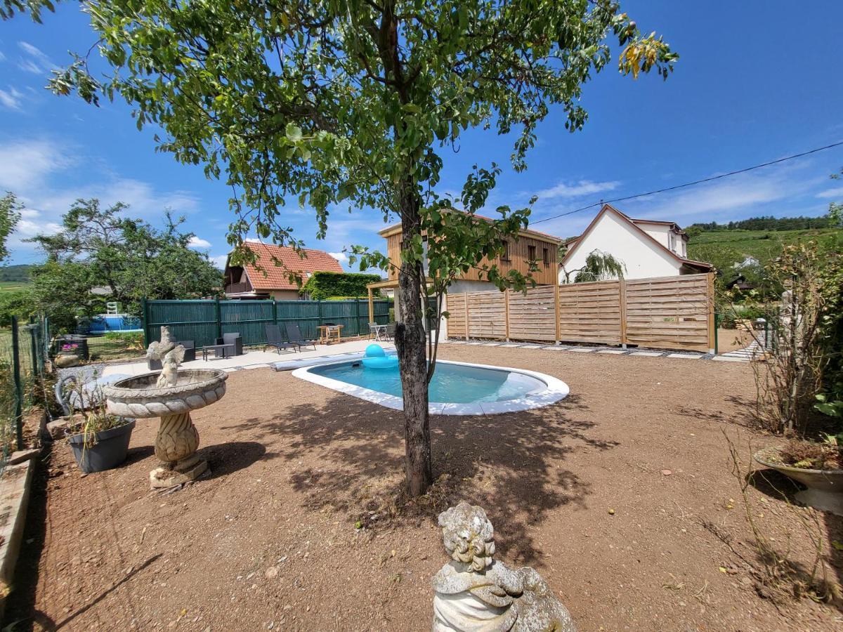 Au Coeur Des Vignes Apartment Bergheim Bagian luar foto