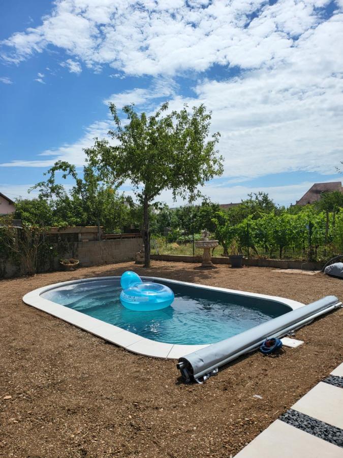 Au Coeur Des Vignes Apartment Bergheim Bagian luar foto